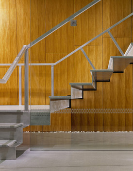 Modern staircase inside office building. Glass sides and a paneled light wood wall behind the staircase.
